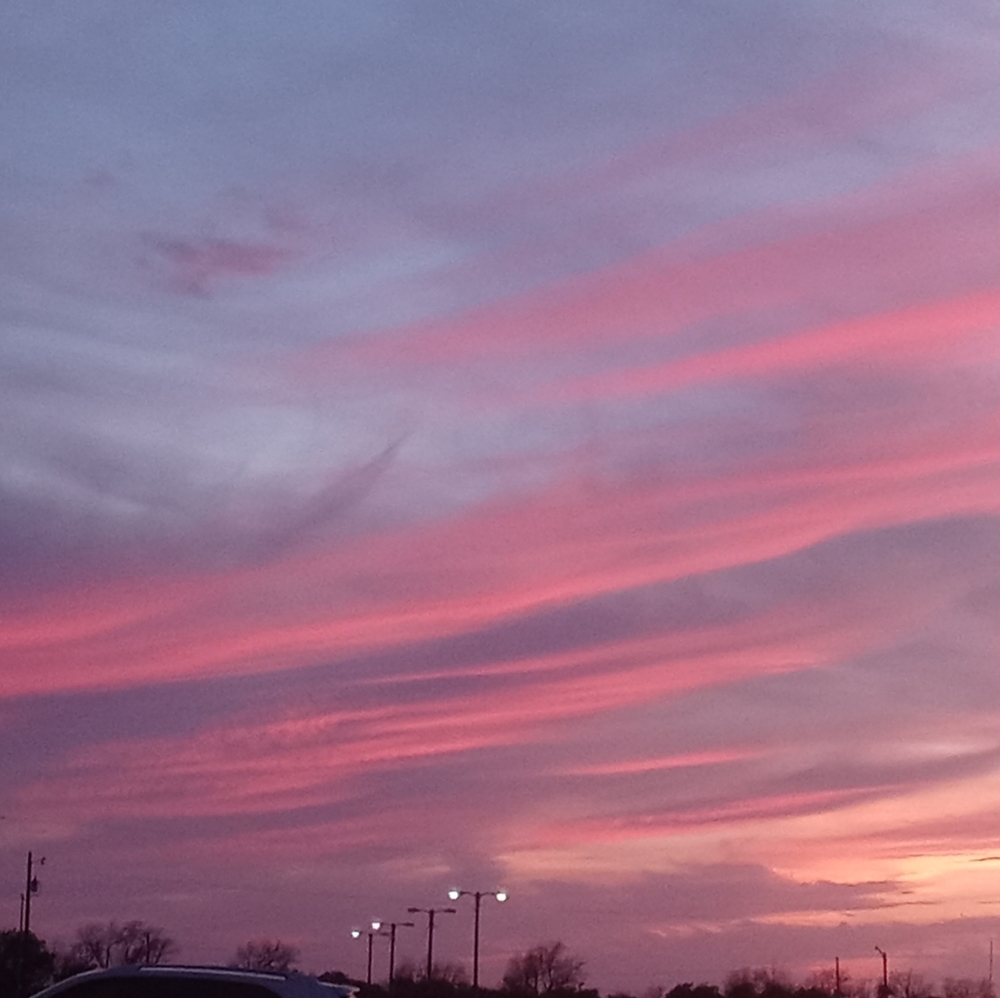 Meet your Posher, Shelly